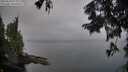 ./images/koeye/fitz-hugh/20250830/fitz-hugh20250830_073010M.jpg
