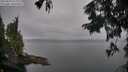 ./images/koeye/fitz-hugh/20250830/fitz-hugh20250830_080011M.jpg
