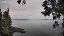 ./images/koeye/fitz-hugh/20250830/fitz-hugh20250830_101510M.jpg