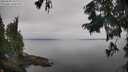 ./images/koeye/fitz-hugh/20250830/fitz-hugh20250830_102011M.jpg