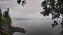 ./images/koeye/fitz-hugh/20250830/fitz-hugh20250830_103011M.jpg