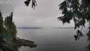 ./images/koeye/fitz-hugh/20250830/fitz-hugh20250830_103510M.jpg