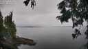 ./images/koeye/fitz-hugh/20250830/fitz-hugh20250830_104510M.jpg