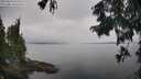 ./images/koeye/fitz-hugh/20250830/fitz-hugh20250830_105509M.jpg