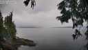 ./images/koeye/fitz-hugh/20250830/fitz-hugh20250830_110011M.jpg