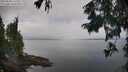 ./images/koeye/fitz-hugh/20250830/fitz-hugh20250830_111511M.jpg