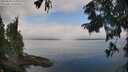 ./images/koeye/fitz-hugh/20250830/fitz-hugh20250830_114011M.jpg