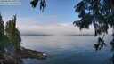 ./images/koeye/fitz-hugh/20250830/fitz-hugh20250830_121011M.jpg