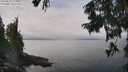 ./images/koeye/fitz-hugh/20250830/fitz-hugh20250830_123508M.jpg
