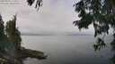 ./images/koeye/fitz-hugh/20250830/fitz-hugh20250830_124011M.jpg
