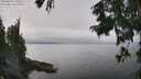 ./images/koeye/fitz-hugh/20250830/fitz-hugh20250830_130509M.jpg