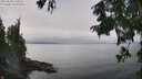 ./images/koeye/fitz-hugh/20250830/fitz-hugh20250830_131009M.jpg