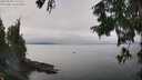 ./images/koeye/fitz-hugh/20250830/fitz-hugh20250830_131512M.jpg