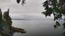 ./images/koeye/fitz-hugh/20250830/fitz-hugh20250830_132510M.jpg