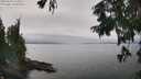 ./images/koeye/fitz-hugh/20250830/fitz-hugh20250830_133509M.jpg