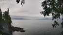 ./images/koeye/fitz-hugh/20250830/fitz-hugh20250830_135006M.jpg