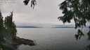 ./images/koeye/fitz-hugh/20250830/fitz-hugh20250830_140012M.jpg