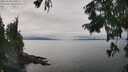 ./images/koeye/fitz-hugh/20250830/fitz-hugh20250830_141009M.jpg