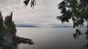 ./images/koeye/fitz-hugh/20250830/fitz-hugh20250830_142009M.jpg