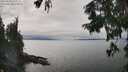 ./images/koeye/fitz-hugh/20250830/fitz-hugh20250830_143010M.jpg