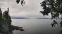 ./images/koeye/fitz-hugh/20250830/fitz-hugh20250830_143510M.jpg