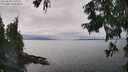 ./images/koeye/fitz-hugh/20250830/fitz-hugh20250830_144010M.jpg
