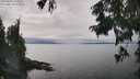./images/koeye/fitz-hugh/20250830/fitz-hugh20250830_144511M.jpg