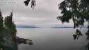 ./images/koeye/fitz-hugh/20250830/fitz-hugh20250830_152009M.jpg