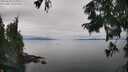 ./images/koeye/fitz-hugh/20250830/fitz-hugh20250830_153012M.jpg