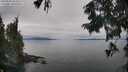 ./images/koeye/fitz-hugh/20250830/fitz-hugh20250830_153510M.jpg