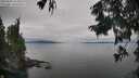 ./images/koeye/fitz-hugh/20250830/fitz-hugh20250830_154010M.jpg