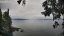 ./images/koeye/fitz-hugh/20250830/fitz-hugh20250830_154510M.jpg