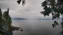./images/koeye/fitz-hugh/20250830/fitz-hugh20250830_155011M.jpg