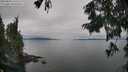 ./images/koeye/fitz-hugh/20250830/fitz-hugh20250830_155510M.jpg