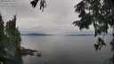 ./images/koeye/fitz-hugh/20250830/fitz-hugh20250830_160509M.jpg