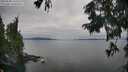 ./images/koeye/fitz-hugh/20250830/fitz-hugh20250830_162509M.jpg