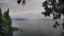 ./images/koeye/fitz-hugh/20250830/fitz-hugh20250830_163510M.jpg