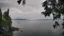 ./images/koeye/fitz-hugh/20250830/fitz-hugh20250830_165011M.jpg