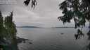 ./images/koeye/fitz-hugh/20250830/fitz-hugh20250830_165510M.jpg