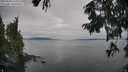 ./images/koeye/fitz-hugh/20250830/fitz-hugh20250830_170012M.jpg