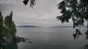 ./images/koeye/fitz-hugh/20250830/fitz-hugh20250830_170508M.jpg