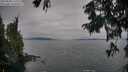 ./images/koeye/fitz-hugh/20250830/fitz-hugh20250830_172011M.jpg