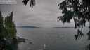 ./images/koeye/fitz-hugh/20250830/fitz-hugh20250830_172508M.jpg
