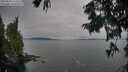 ./images/koeye/fitz-hugh/20250830/fitz-hugh20250830_173510M.jpg