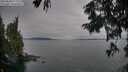 ./images/koeye/fitz-hugh/20250830/fitz-hugh20250830_174010M.jpg