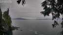 ./images/koeye/fitz-hugh/20250830/fitz-hugh20250830_180511M.jpg