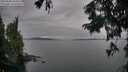 ./images/koeye/fitz-hugh/20250830/fitz-hugh20250830_184510M.jpg