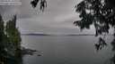 ./images/koeye/fitz-hugh/20250830/fitz-hugh20250830_190008M.jpg