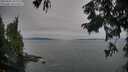 ./images/koeye/fitz-hugh/20250830/fitz-hugh20250830_194008M.jpg