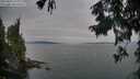 ./images/koeye/fitz-hugh/20250830/fitz-hugh20250830_195008M.jpg